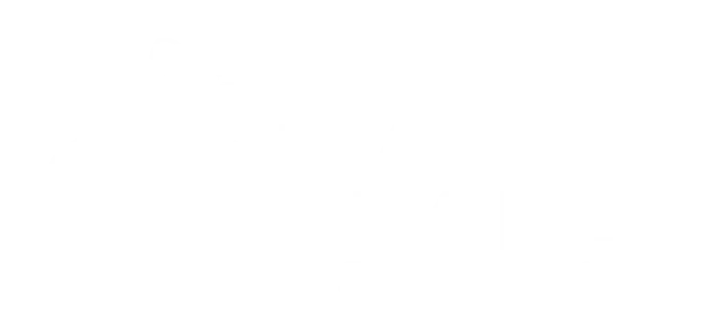Company Logo for BVA Bear's IT Solutions